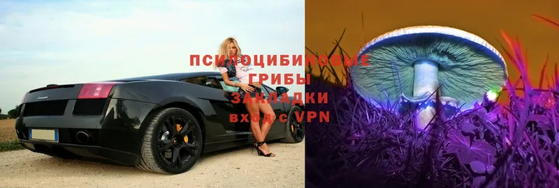 Галлюциногенные грибы GOLDEN TEACHER  Курчатов 